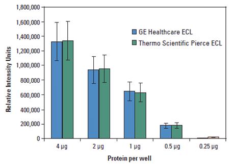 ECL（增强型化学发光底物）