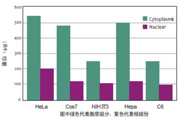 NE-PER 核蛋白-胞浆蛋白抽提试剂盒 78833